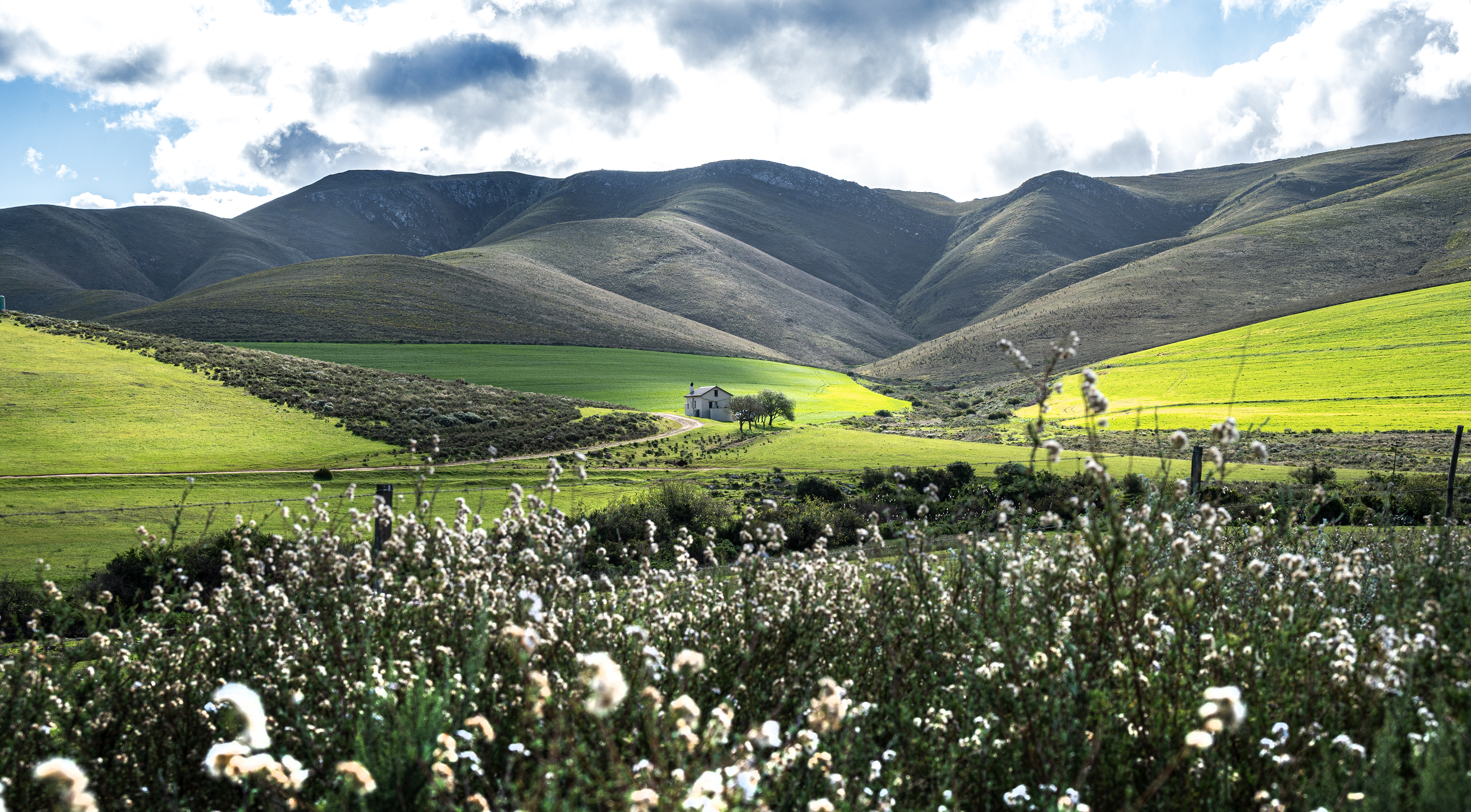 Overberg 5 landscape