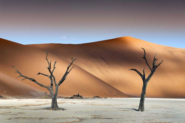 Deadvlei 2 Namib