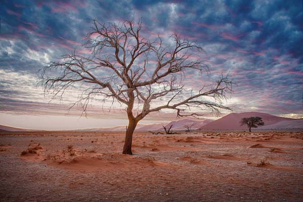 Sossusvlei 2 sunset