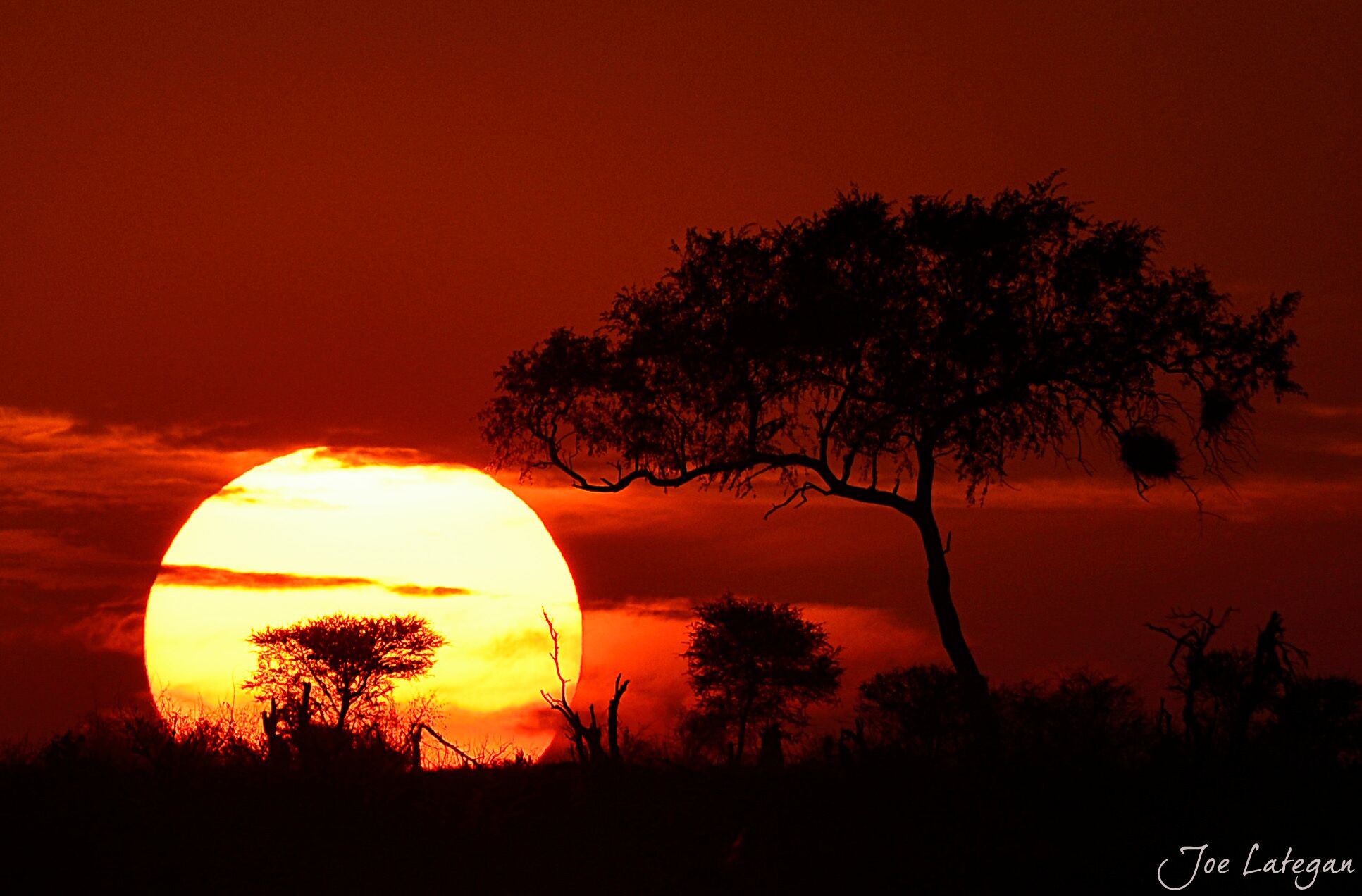 Kruger sunset