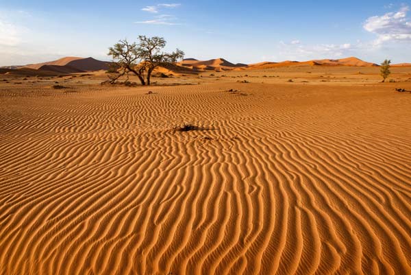 Dune ripples 1