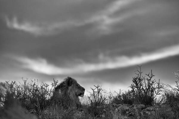 Joe Lategan Sunset landscape Mata mate kgalagadi