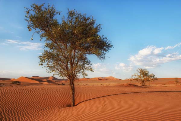 Joe Lategan Sunset landscape Mata mate kgalagadi