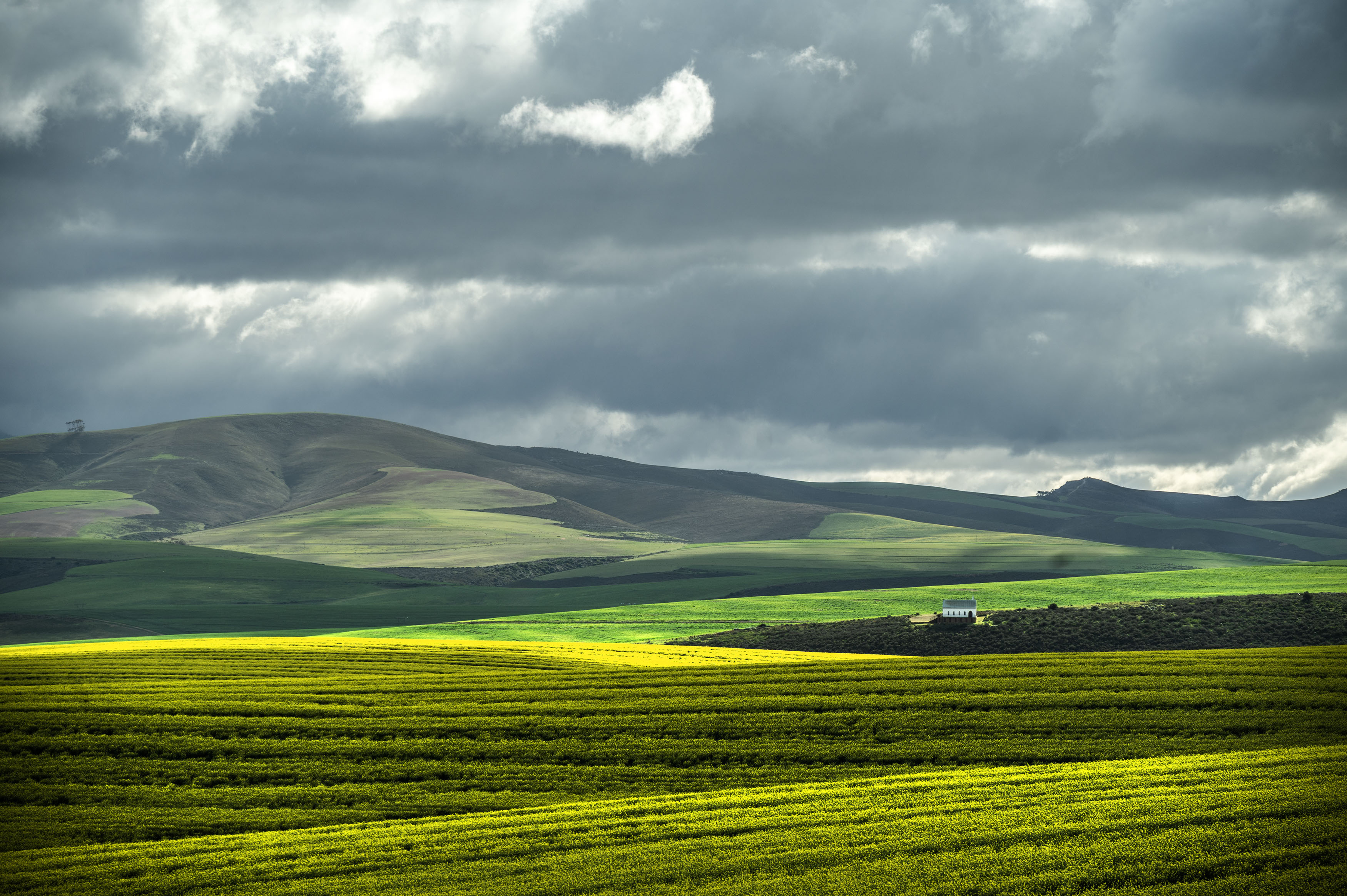 Overberg 7 landscape