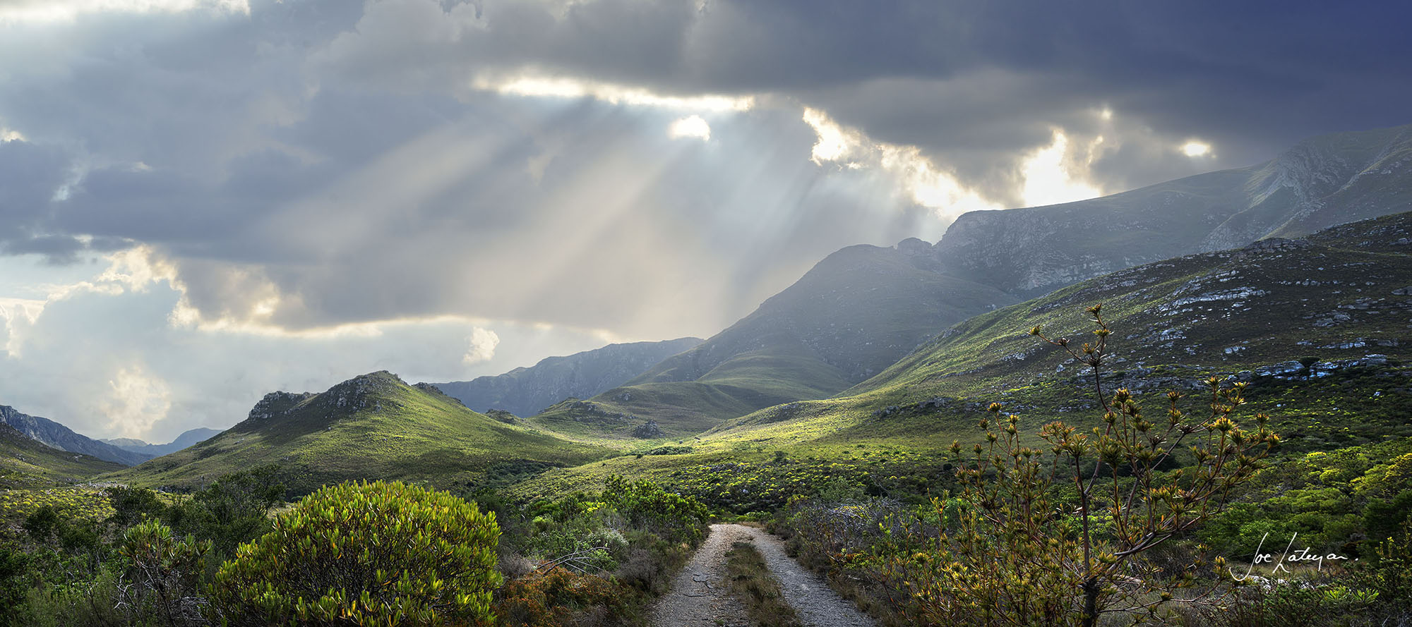 Panorama of fynbos landscapes 1