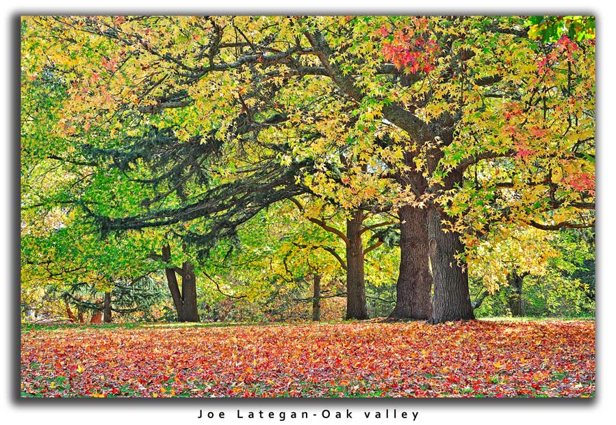 Autumn landscapes in the Western cape Overberg