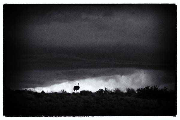 Joe Lategan Langebaan lagoon jetty fine art photo