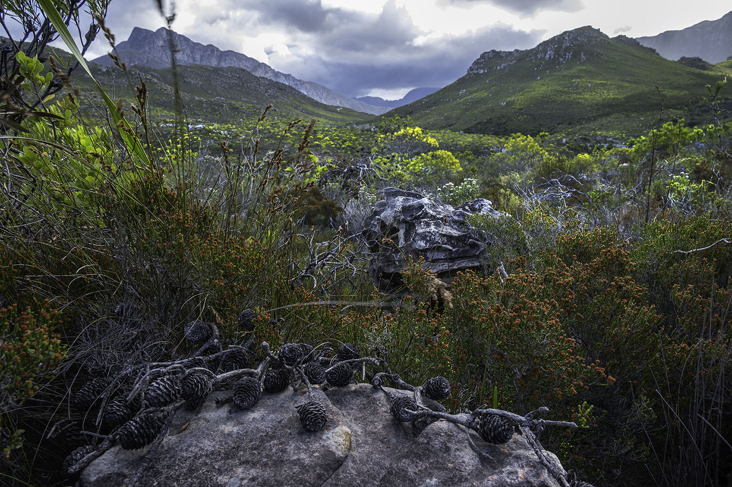 Landscapes in Kogelberg biosphere