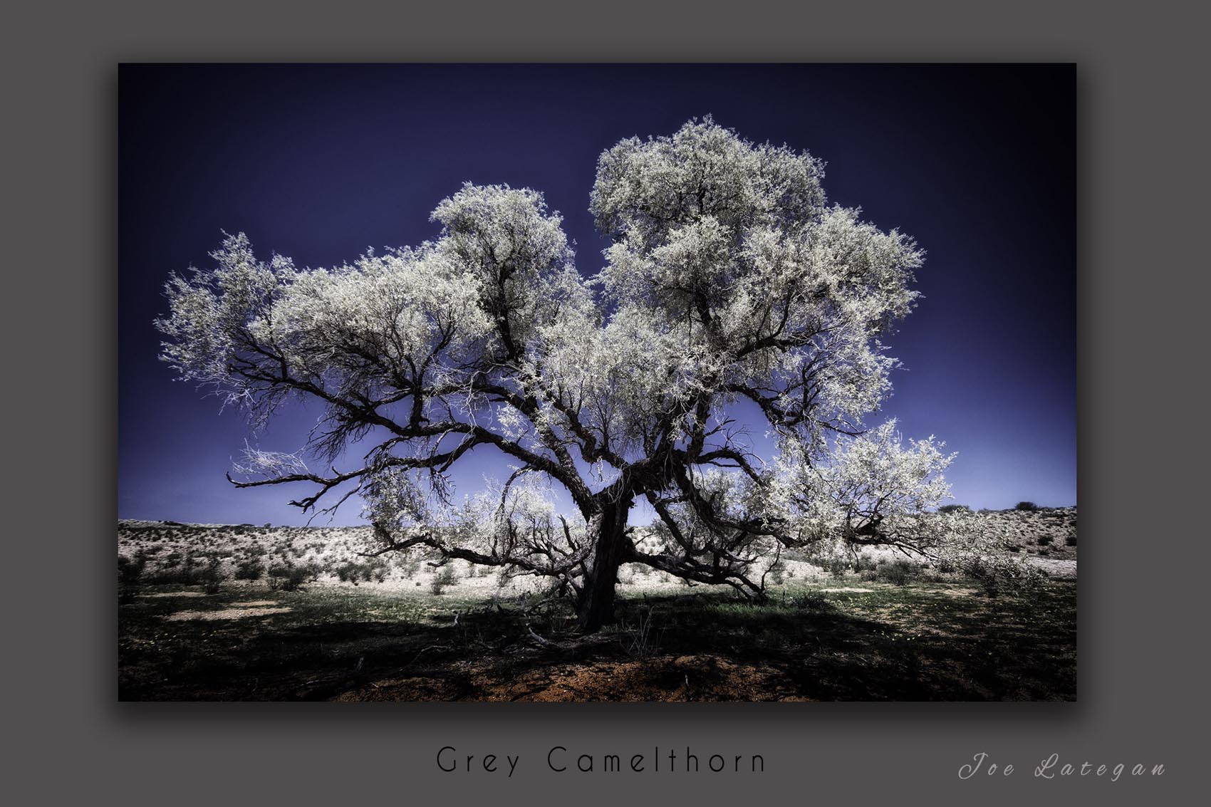 Overberg 7 landscape