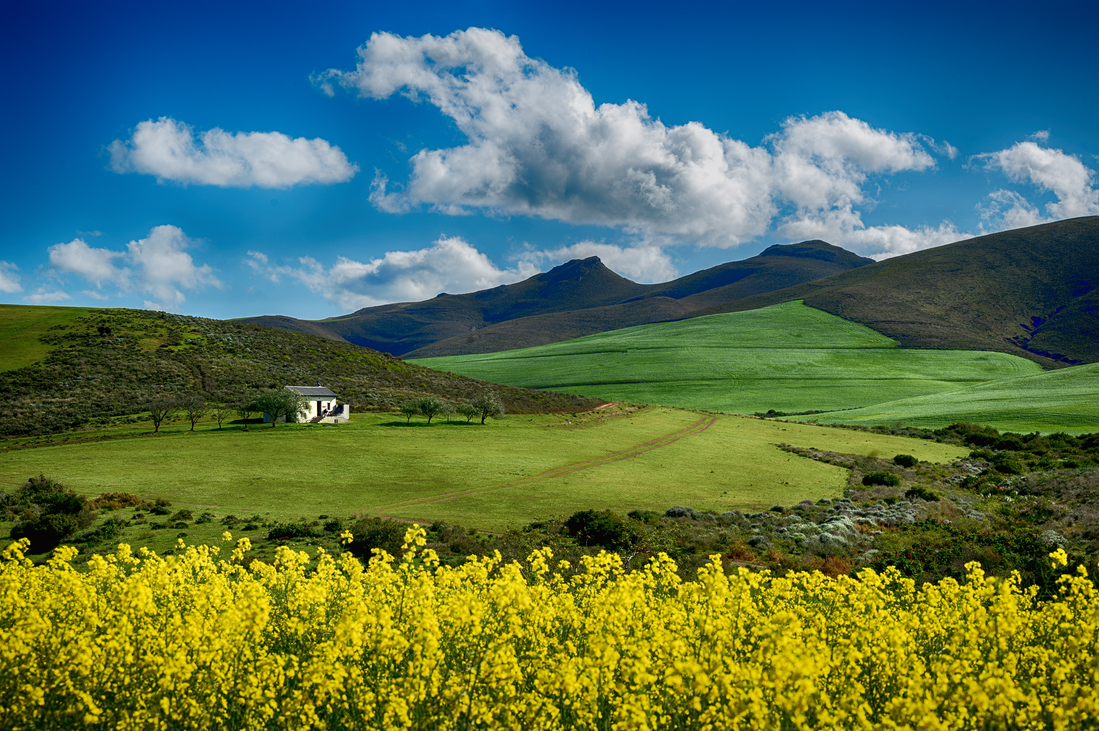 Overberg 6 landscape