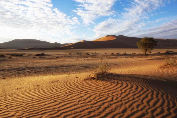 Dune ripples 2