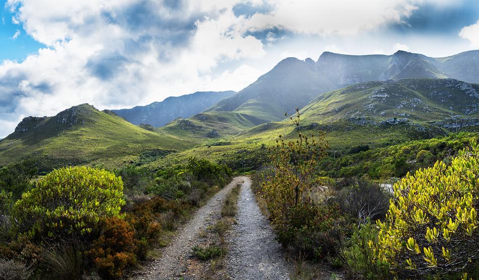 Fynbos landscape 2