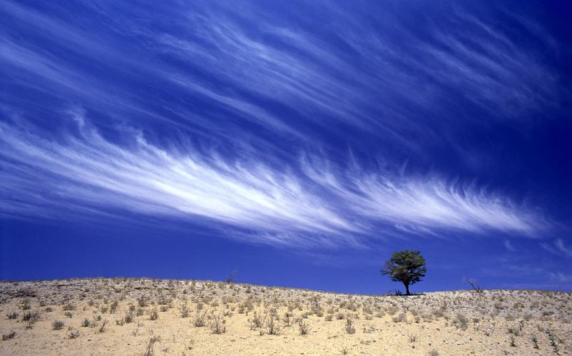 Joe Lategan Urikaruus landscape Kgalagadi