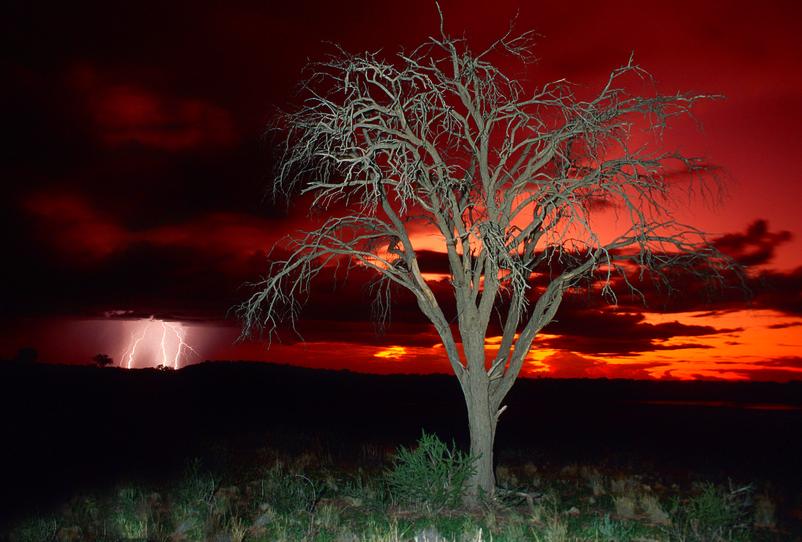 Joe Lategan image of sunset and lightning Bitterpan