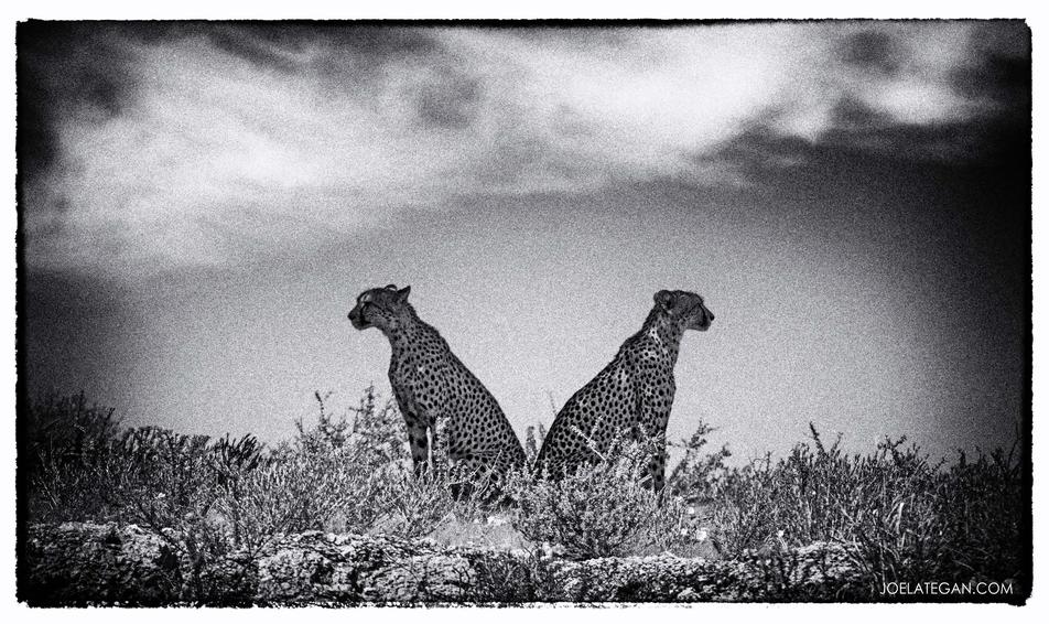 Joe Lategan Langebaan lagoon jetty fine art photo