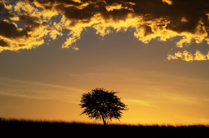 Joe Lategan Sunset landscape Mata mate kgalagadi